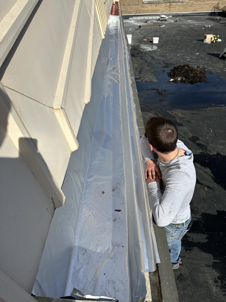 IMG 3793