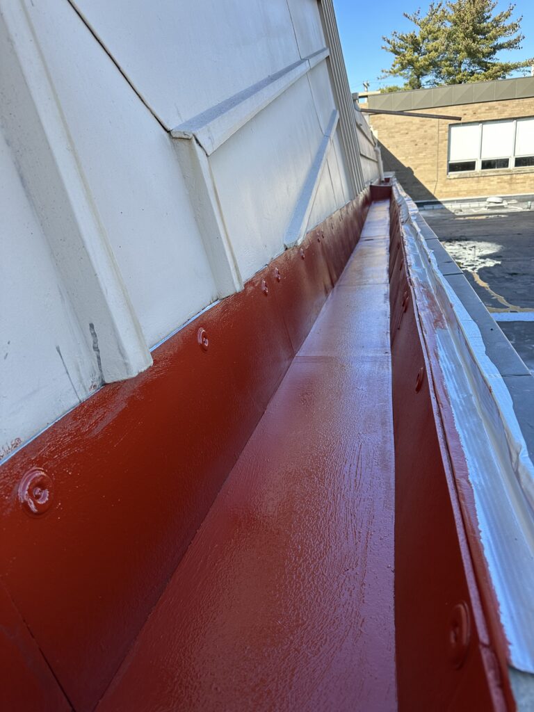 IMG 3809