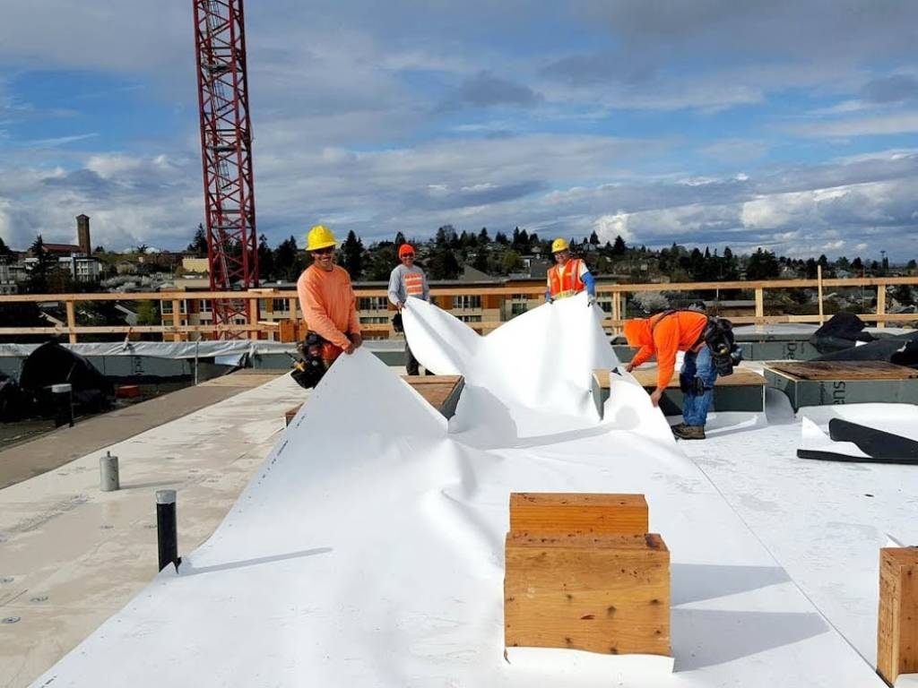 PVC Roofing